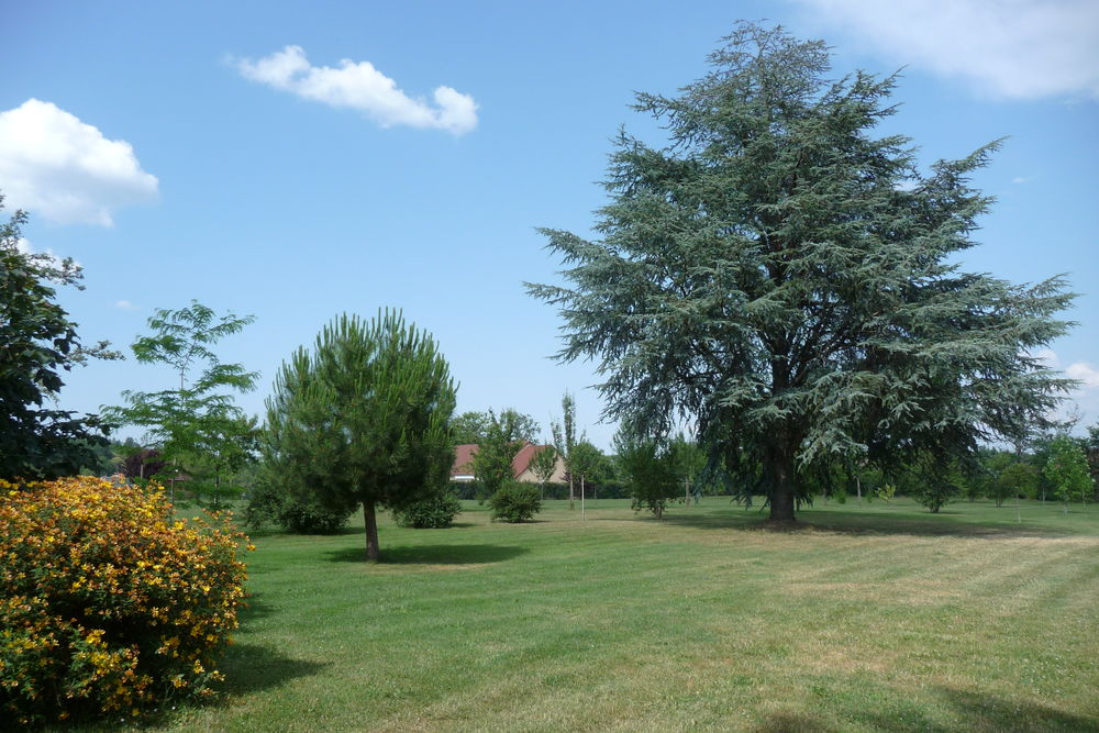Vente Terrain Blessac : particulier cède 2 Superbes Terrains à bâtir dans Aubusson