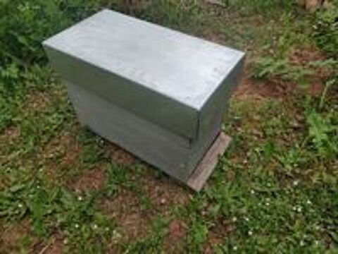   Essaim d'abeilles sur 5 cadres dadant (essaimage naturel) 