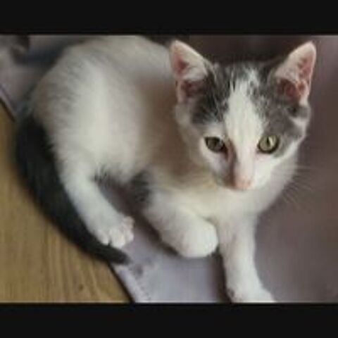   JACKSON 