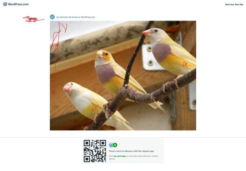  diamants de Gould 40 87140 Nantiat