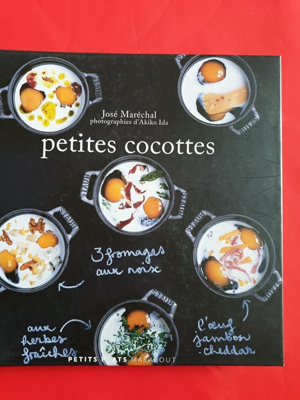 Livre de cuisine sympa le th&egrave;me les petites cocottes Cuisine