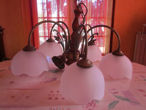 Lustre 35 Bessières (31)