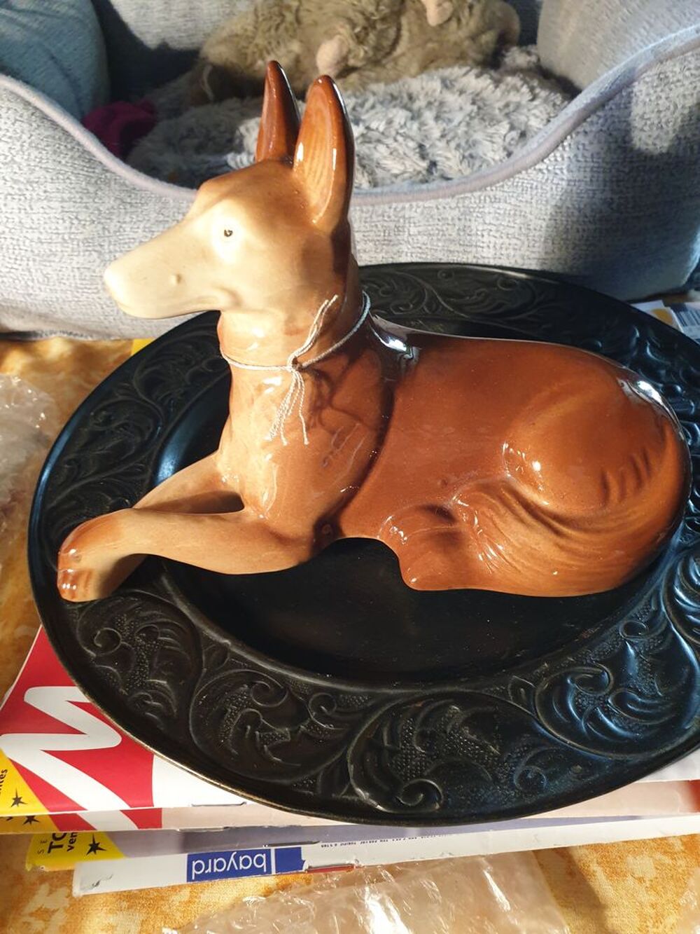 chien miniature de collection 
