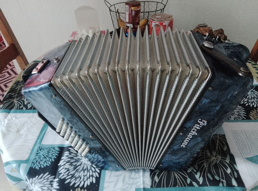 Accord&eacute;on bleu 28 touches Instruments de musique