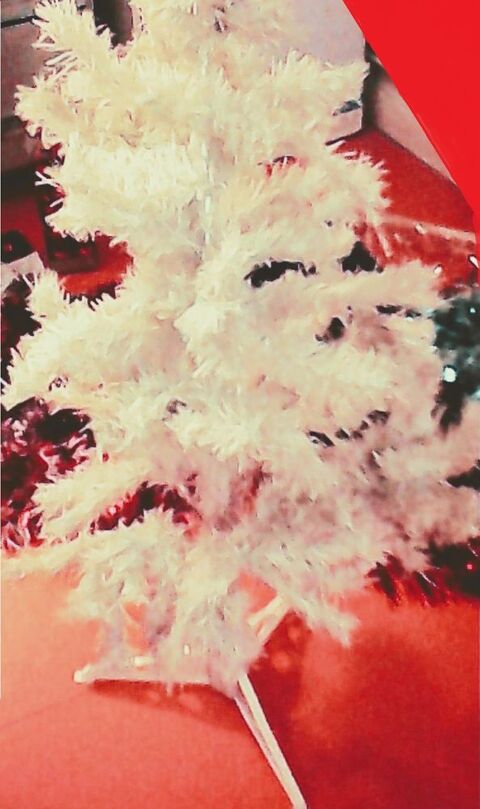 NOEL
SAPIN BLANC + GUIRLANDES + BOULES + DECO Rouelles (76)