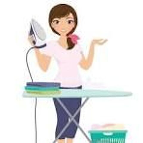 heures de ménage, repassage 0 50290 Bricqueville-sur-mer