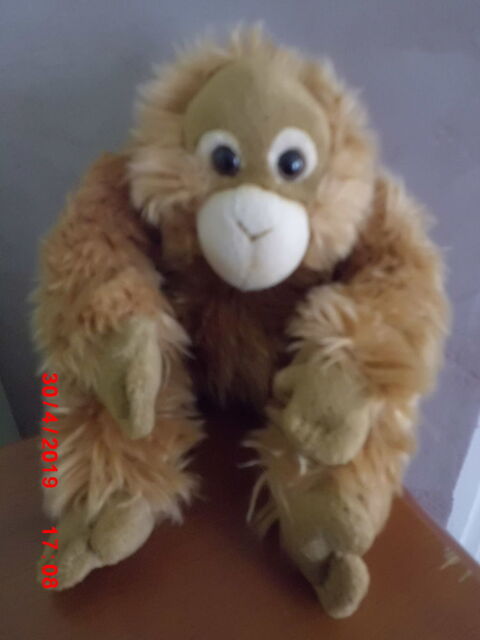 SINGE ROUX WWF 15 Oignies (62)