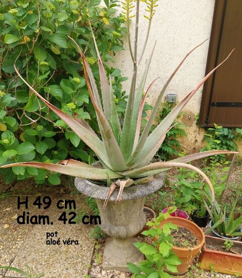 poterie ancienne en pierre 15 Saint-Laurent-du-Var (06)