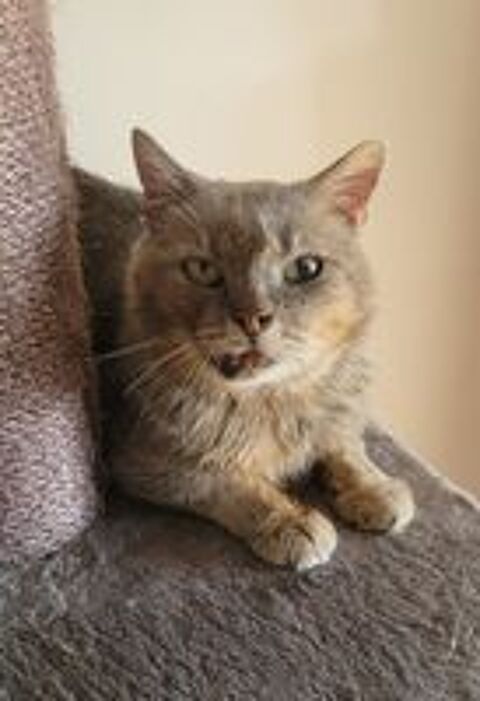   Rusty 