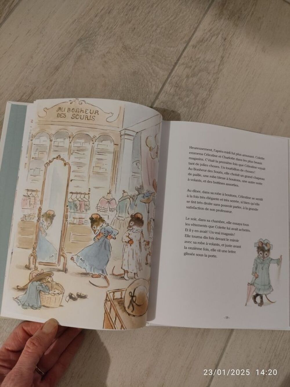 Livre Ernest et C&eacute;lestine &quot; au bonheur des souris&quot; Livres et BD