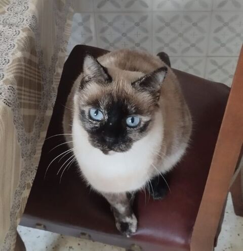 ALMA 220 27620 Gasny