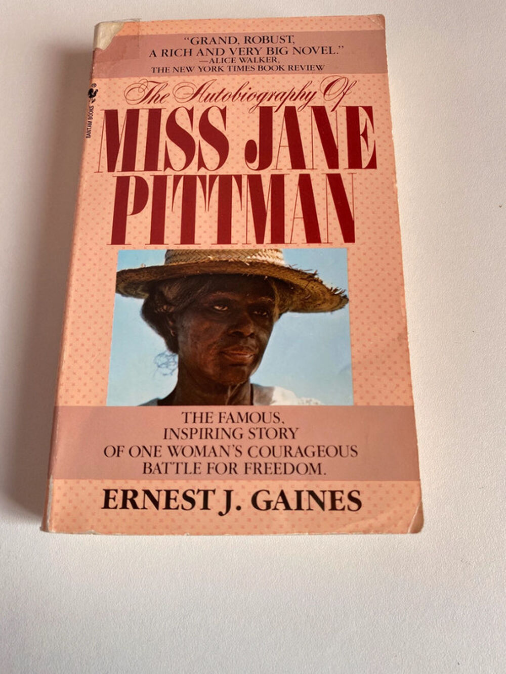 Livre Miss Jane Pittman Livres et BD
