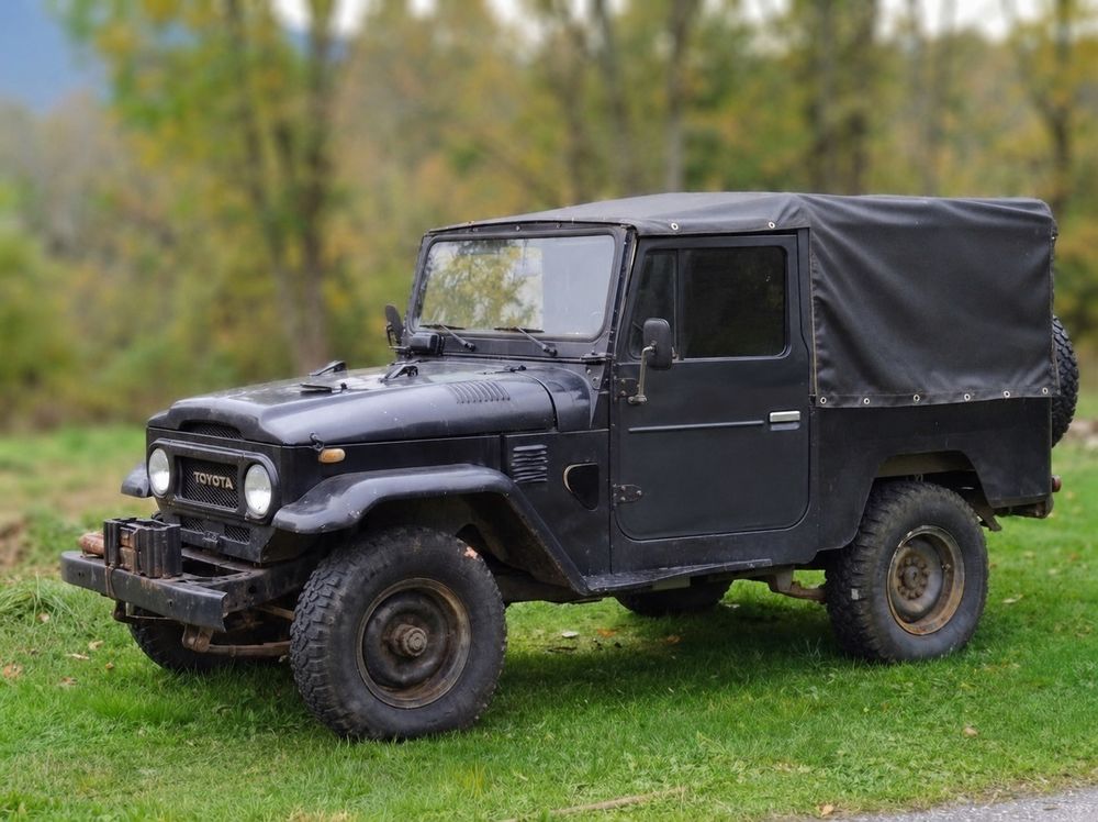  1981 occasion 73340 La Motte-en-Bauges