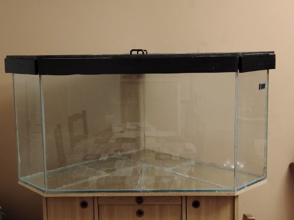  Aquarium sur mesure  