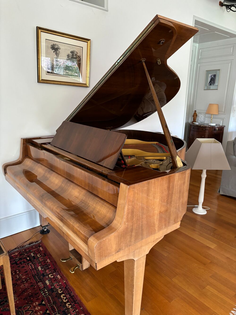 cause d&eacute;c&egrave;s , piano &agrave; queue Petrof Instruments de musique