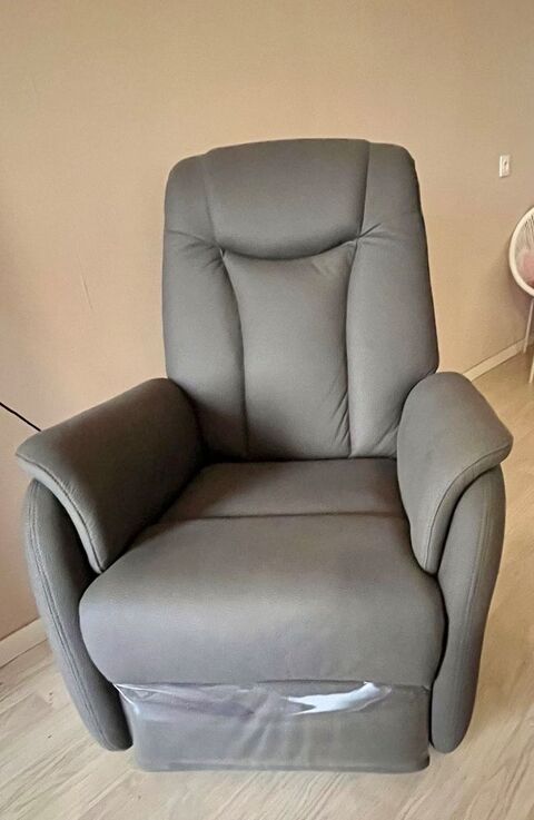 Fauteuil motoris� 350 Nuaill� (49)