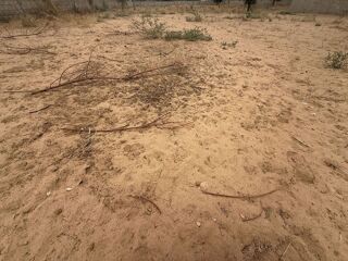  Terrain � vendre 6016 m� Nguekorh, s�n�gal