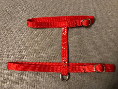 laisse et harnais pour chat NEUFS 10 Les Brouzils (85)