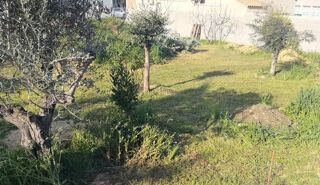  Terrain � vendre 1000 m� Bize-minervois