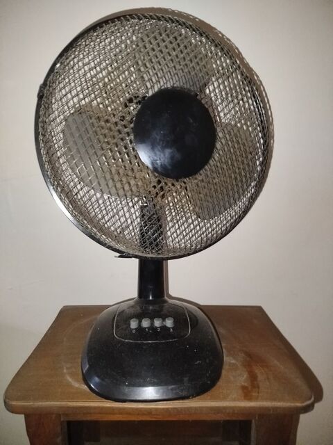 Ventilateur de table 24 Serres (05)