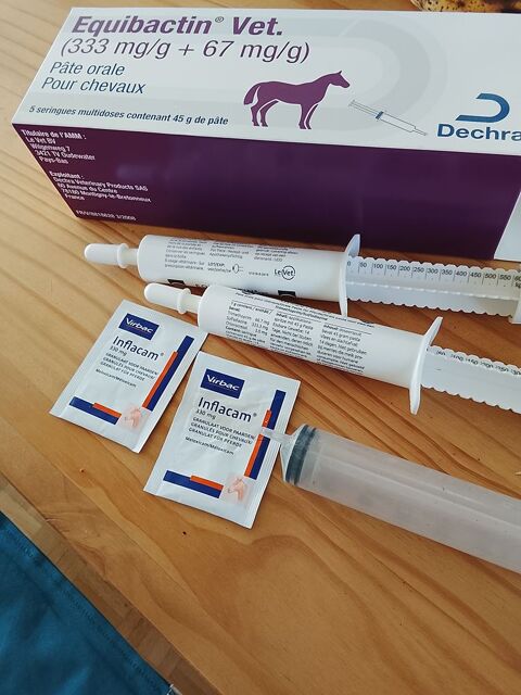 Soins v&eacute;to cheval 5 29200 Brest