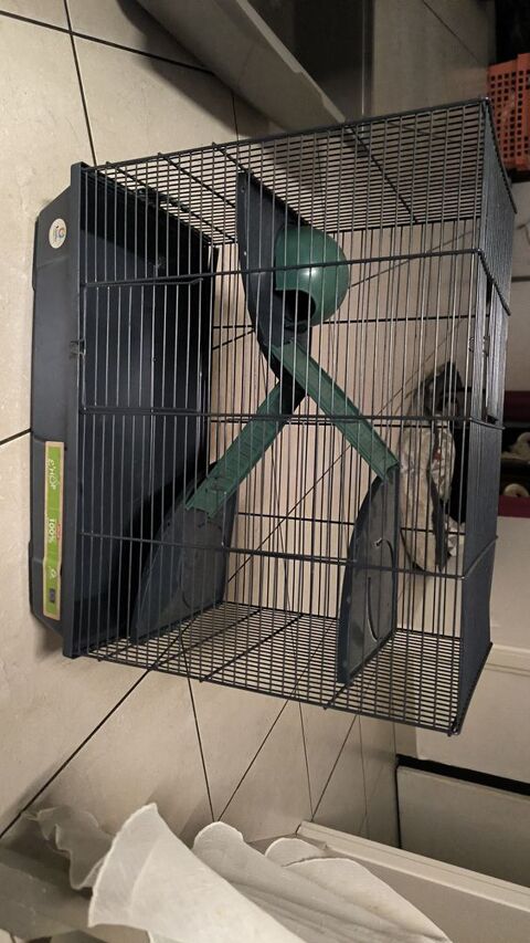 Cage pour hamster avec accessoires 45 85400 Luon