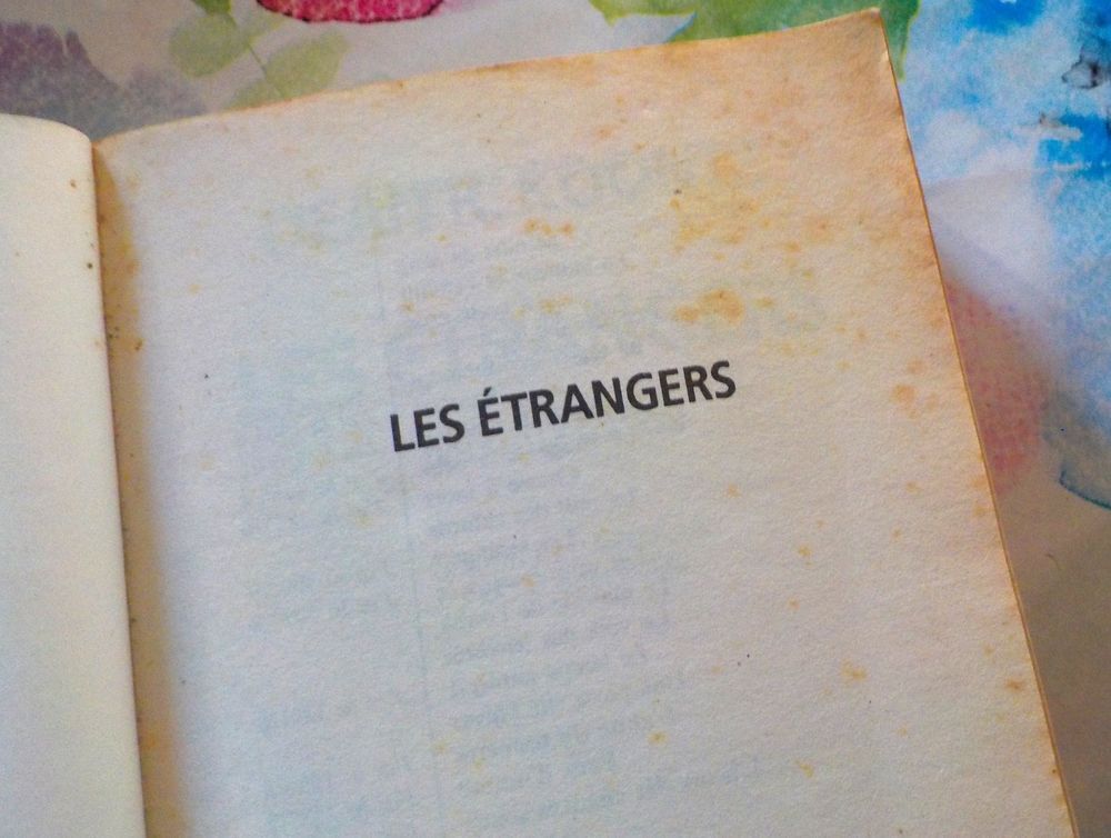 LES ETRANGERS de Dean R. KOONTZ Ed. J'ai Lu Epouvante Livres et BD
