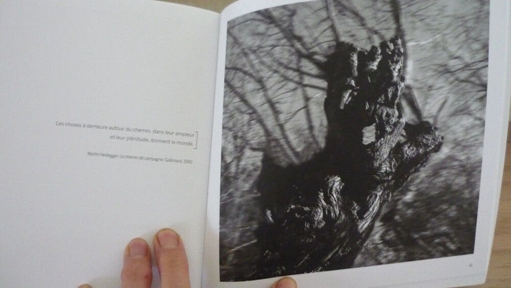 Les paysages cr&eacute;pusculaires Livres et BD