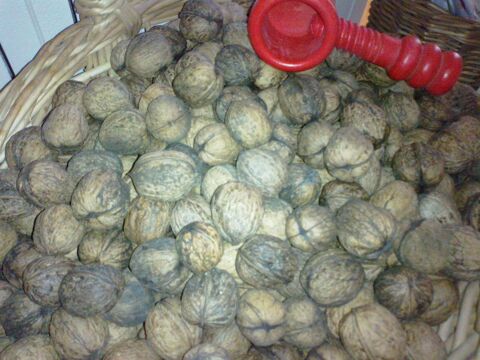 Noix du jardin bio 3 Lecelles (59)