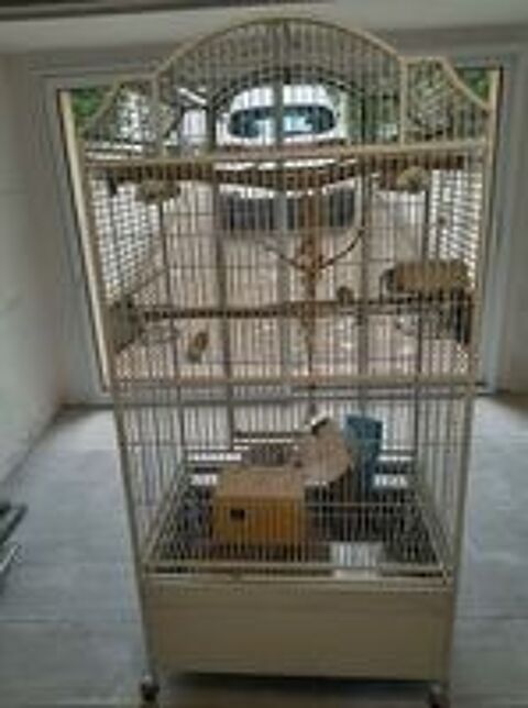   Cage  Perroquet 