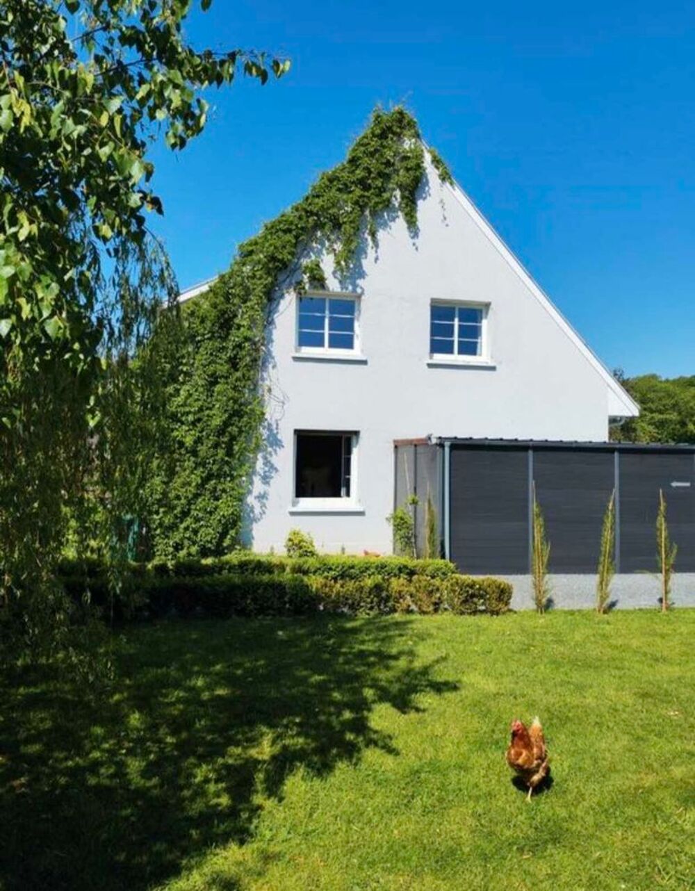 Vente Maison Maison 300 m2 Mont-Saint-Aignan Vatine Mont-saint-aignan