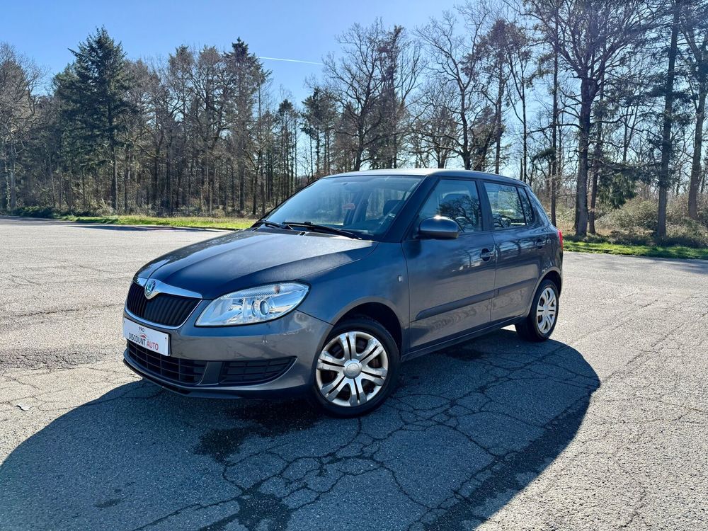 Fabia 1.2 12V 60 Pep's 2011 occasion 65800 Aureilhan