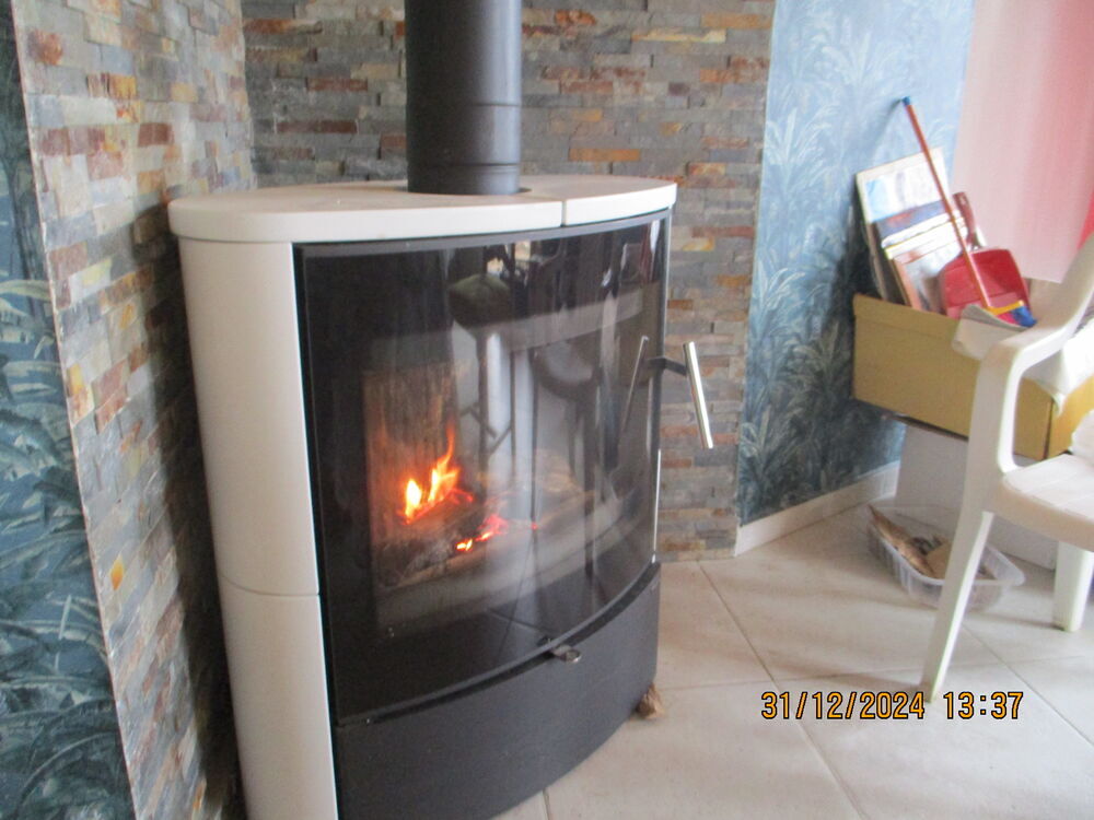 Po&ecirc;le &agrave; bois Electroménager