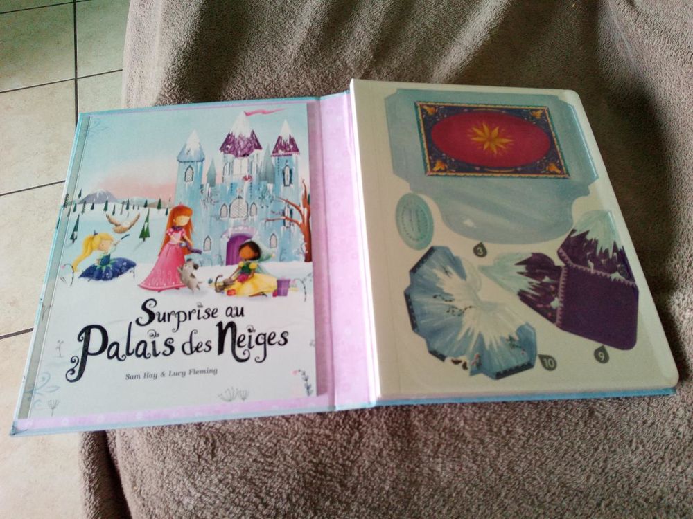 Livre Surprise au Palais des Neiges (Neuf) Livres et BD