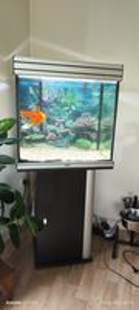   Aquarium Aquadisio meuble éclairage  
