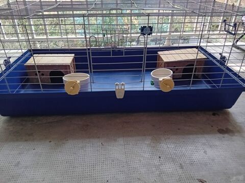 Cage rongeur 30 66150 Arles-sur-tech