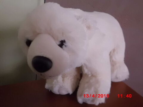 OURS BLANC WILD REPUBLIC 14 Oignies (62)