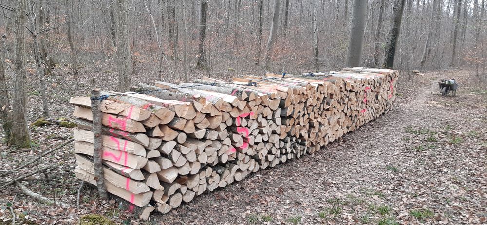 Bois de chauffage Jardin