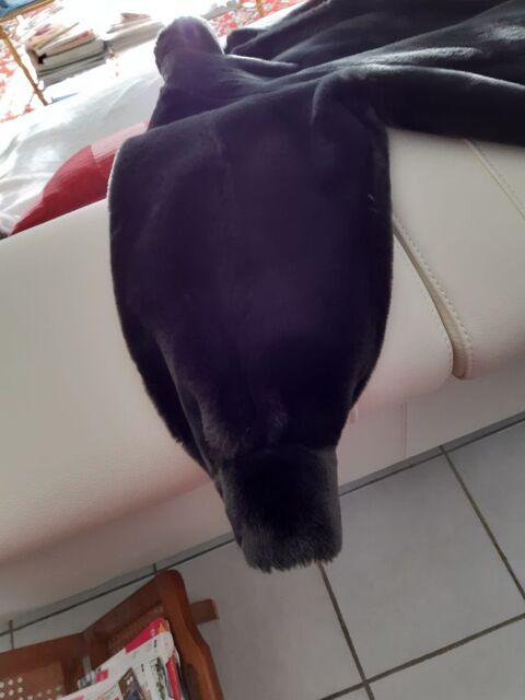 MANTEAU FOURRURE SYNTHETIQUE  60 Angers (49)