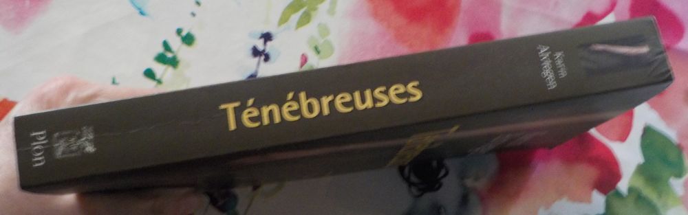 TENEBREUSES de Karin ALVTEGEN Ed. Plon Livres et BD