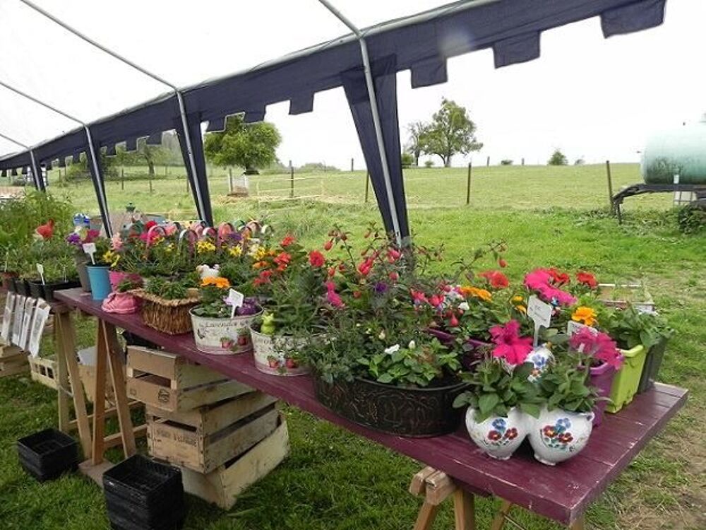 Plantes, fleurs et plants de l&eacute;gumes Jardin