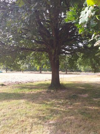  Terrain � vendre 2269 m�