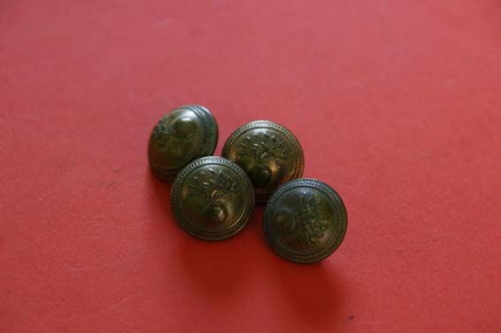 Boutons dor&eacute;s gendarmerie 