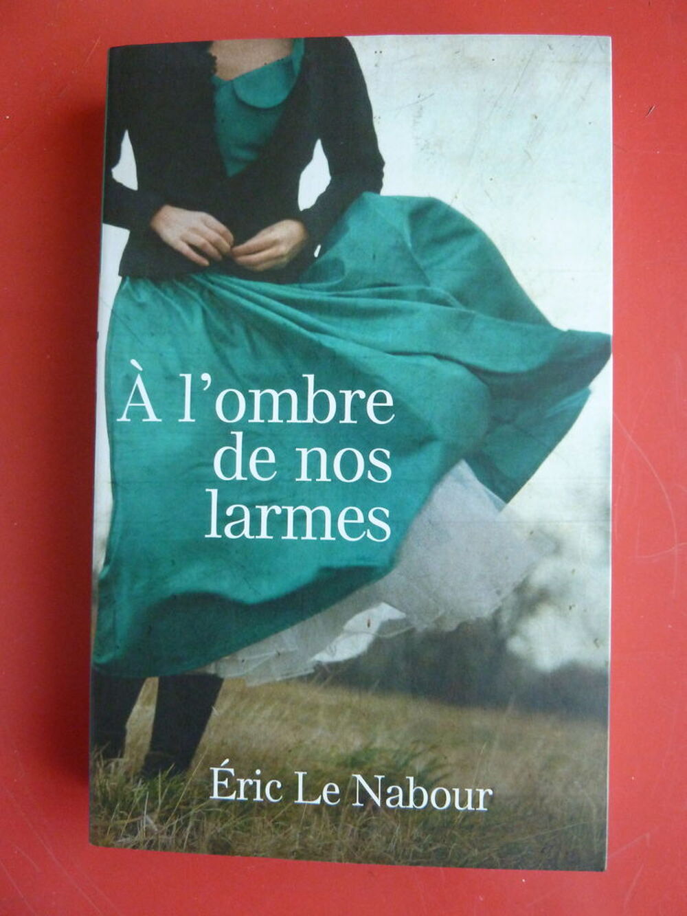 A l'ombre de nos larmes - Eric Le Nabour
Livres et BD