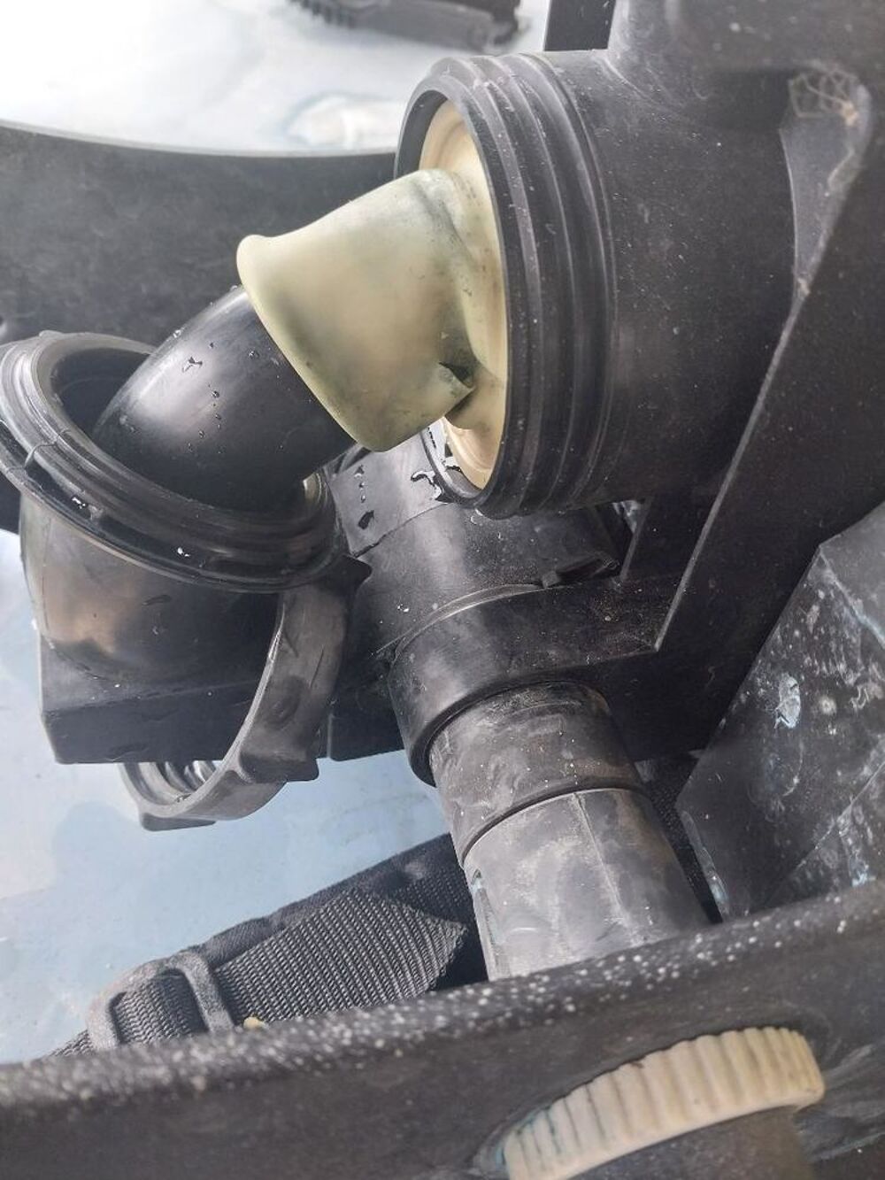 Pulv&eacute;risateur. Jardin