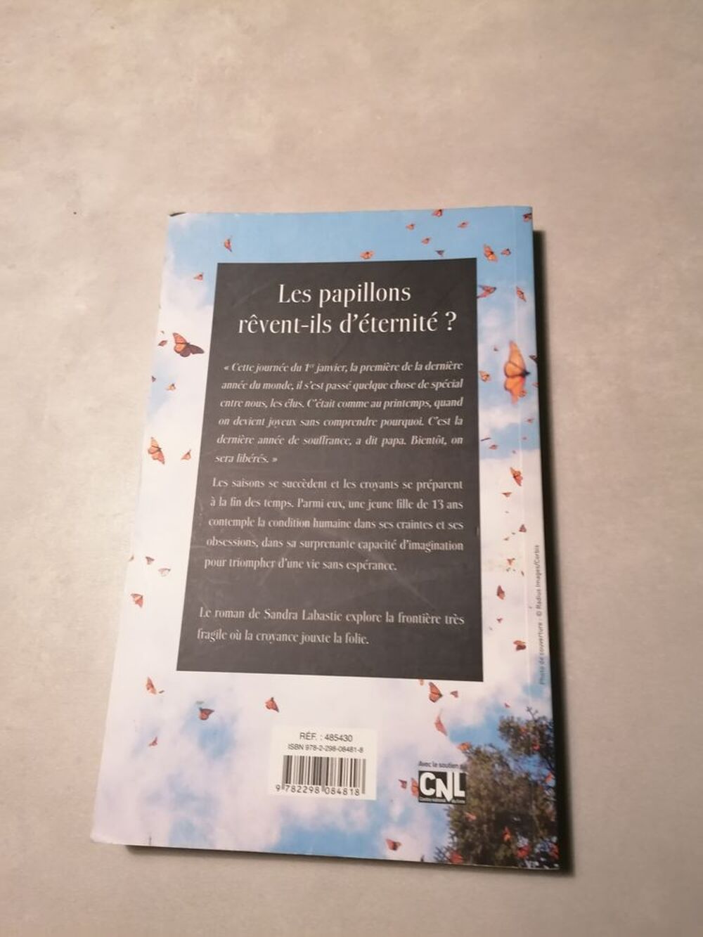 Livre "les papillons r&ecirc;vent-ils d'&eacute;ternit&eacute; ? " Livres et BD