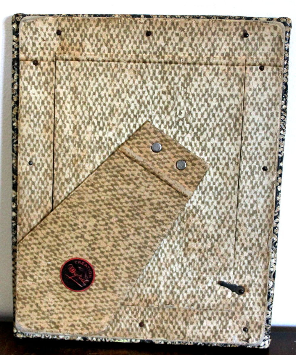 Cadre photo python vinyle design 1950 Décoration
