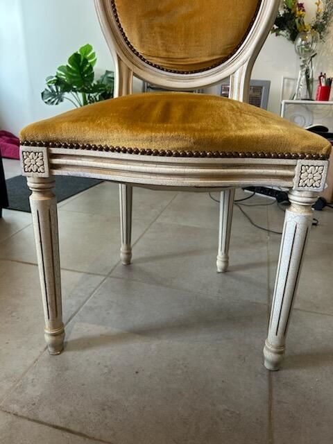 chaise Medaillon style louis 16 250 Mouthoumet (11)