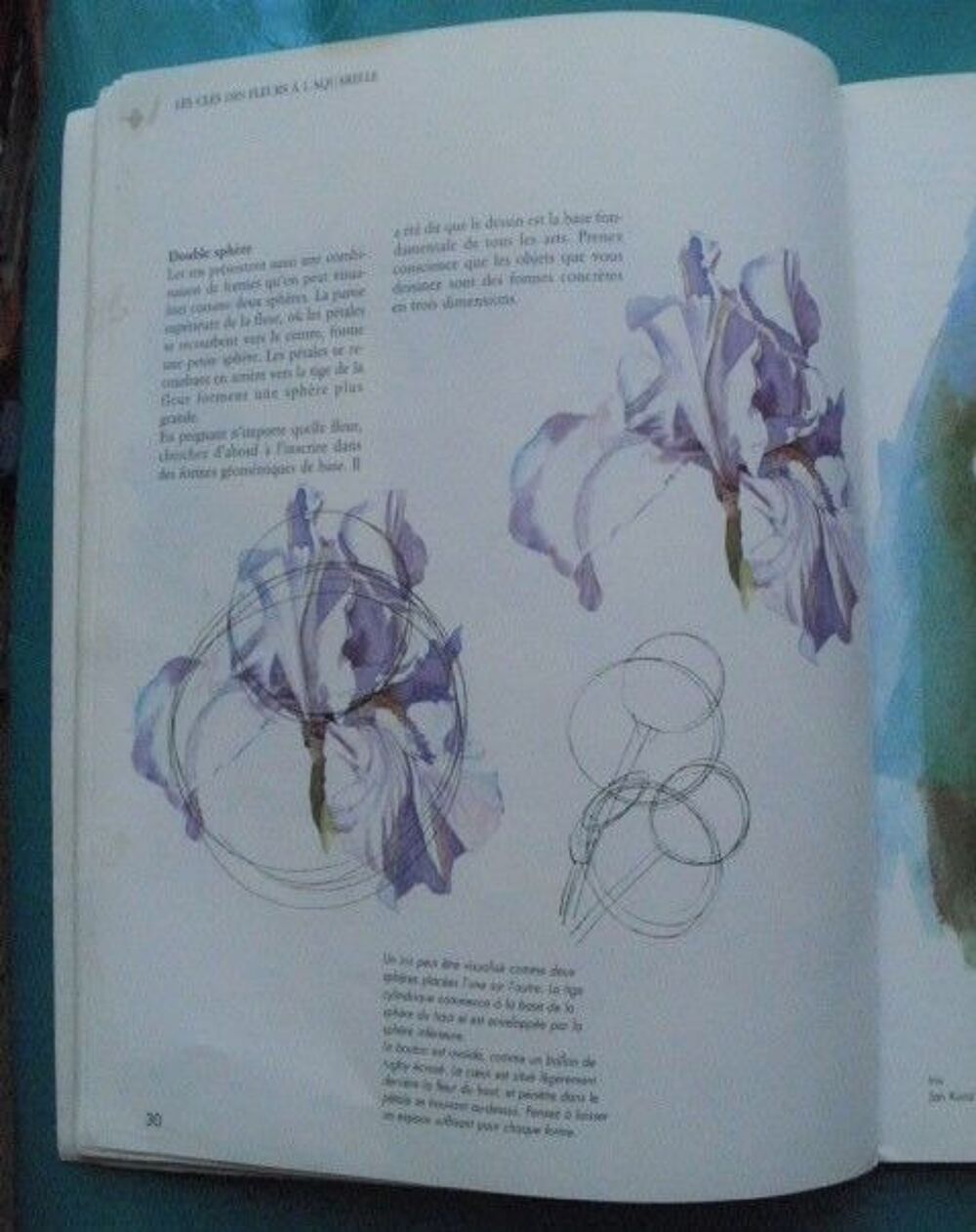 Rachel RUBIN WOLF : Fleurs &agrave; l'aquarelle Livres et BD
