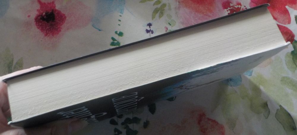 TRIPTYQUE de Karin SLAUGHTER Ed. Le Grand Livre du Mois Livres et BD